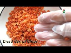 Natural Puffed Dried Carrot Chips Dehydrated Vegetable Grade A