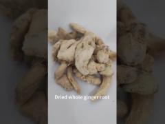 Natural Dried Dehydrated Ginger Root With HALAL HACCP