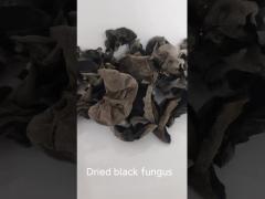 AD Dry Black Fungus Dried Fungus Mushroom