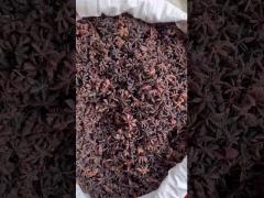 Natural Dried Spices And Herbs Star Anise For Cooking Meat