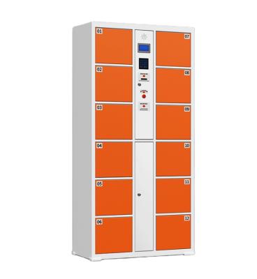 China 0.8-1.2mm Galvanized Sheet Locker Barcode Parcel Locker Smart Rental Parcel Locker With Screen for sale