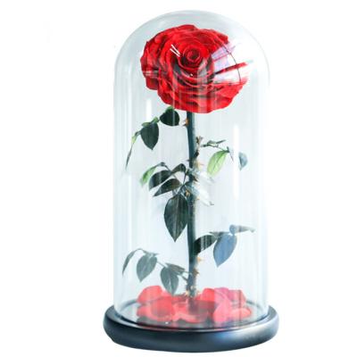 China Weddings Decoration Ammy Preserved Flower Big Prince Red Eternal Rose Flower With Glass Cover For Gift for sale