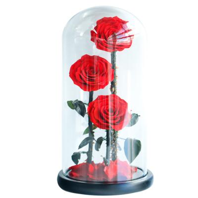 China Weddings Decoration Ammy Preserved Flower Big Prince Red Eternal Rose Flower With Glass Cover For Gift for sale