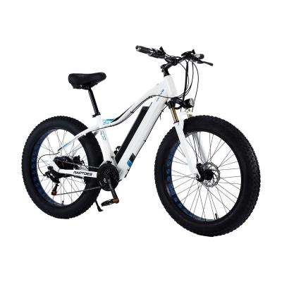 China 26 Inch AKEZ Alloy Aluminum Tire 48V 10AH 750W 27S City Electric Bicycle 2022 Custom Wholesale Ebike USA Warehouse for sale