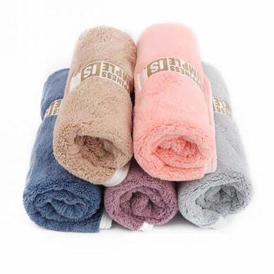 China High Quality Car Cloth Microfiber Thickened And Absorbent Car Wash Towel for sale