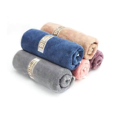 China China Manufacturer Washing Car Easy Clean Towel Wash Dust Absorbent Wash Towel for sale