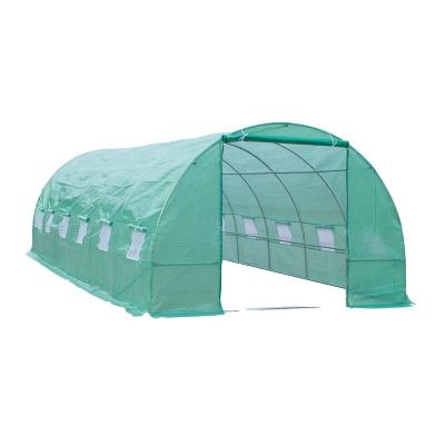 China New Morden Outdoor Portable Walk-in Tunnel Greenhouse With Windows For Sale for sale