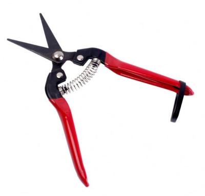 China Anti-Slip Handle 8 INCH Plant Flower Tree Durable Gardening Branch Cutter Garden Shears Pruners Grafting Tool Scissors for sale