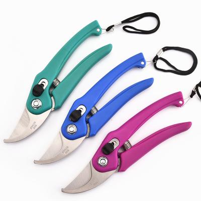 China Professional Sharpness Tool Garden Scissors Tools Stainless Steel Shears Garden Plant Scissors for sale