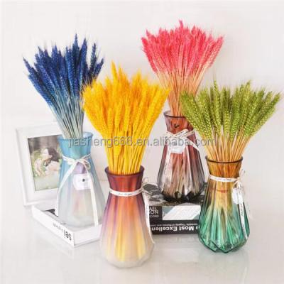 China High Quality Natural Wheat Dried Stem Flowers Colorful Home Decor for sale