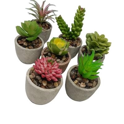 China Natural Touch Mini Artificial Tropical Succulent Potted Plants Artificial Plants for sale