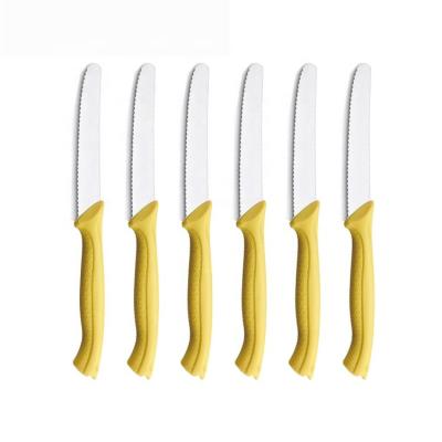 China Durable Plastic Handle Stainless Steel Kitchen Steak Knife Set for sale