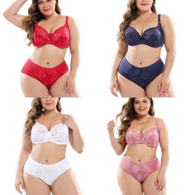 China Private Label Europe Style QUICK DRY High Quality Custom Lace Underwear and Briefs Sets Women's Plus Size Bra and Panty Two Piece Sets for sale