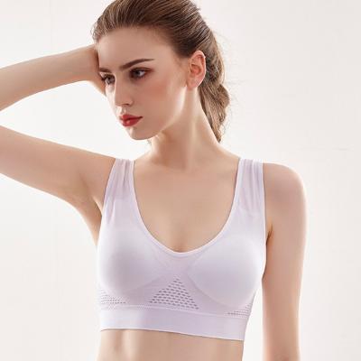 China Quality Spandex / Breathable Polyester Ladies Quick Dry Comfortable Soft Bra Sports Bra Set Low Price Guaranteed for sale