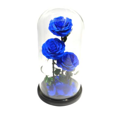 China Romantics 100% Real Romantic Rose In Glass Preserved Rose In Glass Dome Wedding Gift for sale