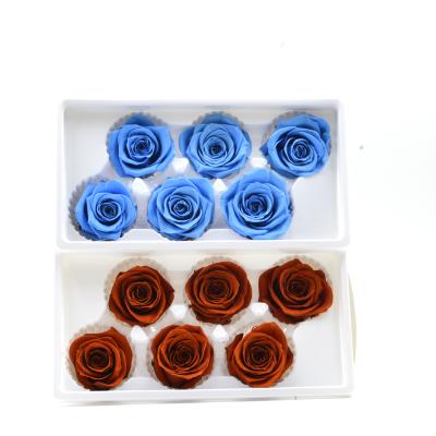 China Durable Factory Size Quality Roses Supplier Eternal Flowers Wholesale For Roses Box Dome Glass Gift for sale