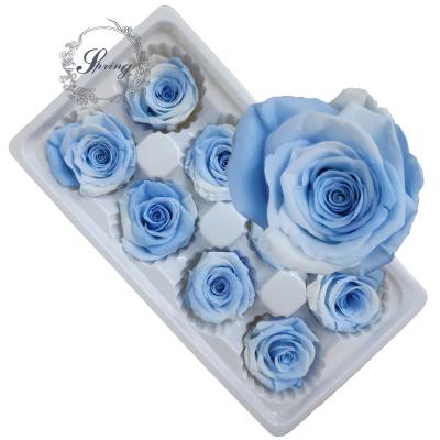 China Fashional Gift Factory Supplying Real Natural Preserved Roses For Roses In Acrylic Box for sale