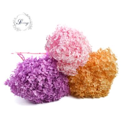 China Wholesale Single Stem Fashional Gift Preserved Dried Hydrangeas For Wedding Decoration for sale