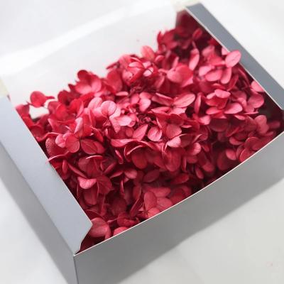 China Fashional Gift Wholesale Red Preserved Hydrangea Flower For Flower Arrangements for sale