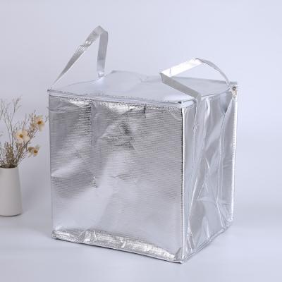 China Waterproof Custom Insulated Thermal Ice Cooler Bags For Lunch , Boxes , Foods for sale