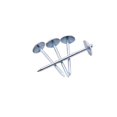 China Flat Caps Hot Sale China Galvanized Head Umbrella Roofing Nails for sale