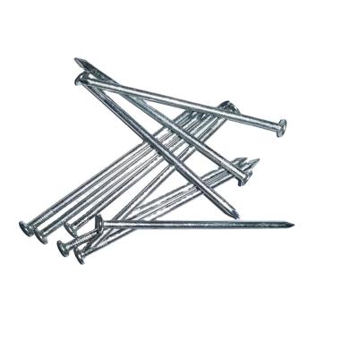 China China Round Common Iron Nail Manufacturer Round Wire Nails for sale