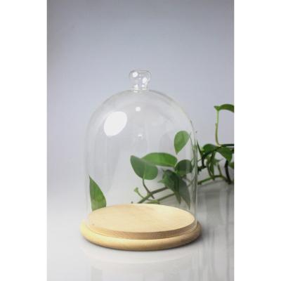 China New classic/postmodern glass bell glass dome with bamboo base for sale