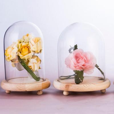 China Sustainable Hot Selling Diameter 10cm Glass Dome With Wooden Base for sale