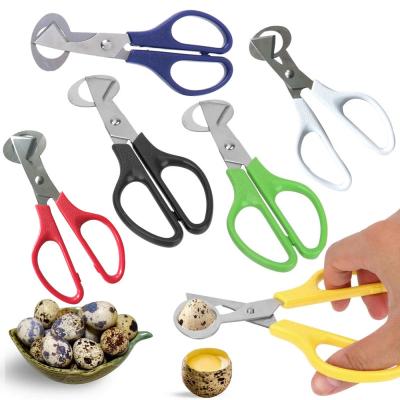 China Factory Kitchen Stainless Steel Universal Cut Quail Egg Shell Cutter Egg Scissors for sale