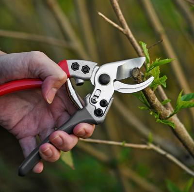 China SK5 Steel Anti-Slip Handle Heavy Duty Blades Garden Tree Shears Hand Held Cut Floral Scissors for sale