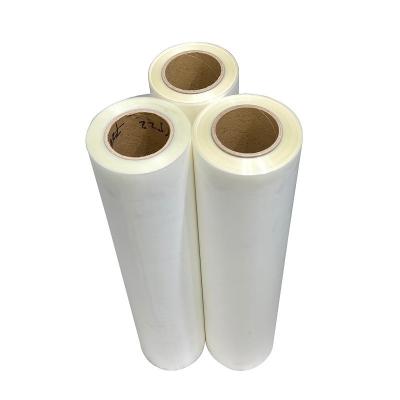 China 60cm Inkjet Hot Peel Dtf Film Roll Hot Peel Heat Transfer Film 24inch for sale