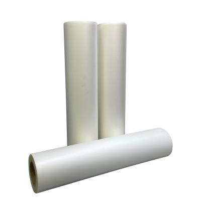 China White PET Matte Film 30cm Double Side For Colthing Printing 30cm 60cm DTF Paper for sale