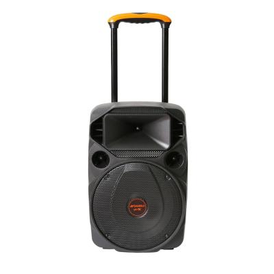 China 12 Inch Big Speaker Sansui Wireless Battery Portable Trolley With UHF Wireless Microphone A12-66 for sale