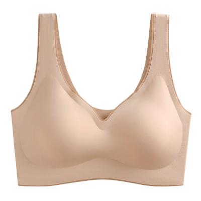 China Manufacture 54% High Quality QUICK DRY Nylon Set Service Seamless Promotional Bras for sale