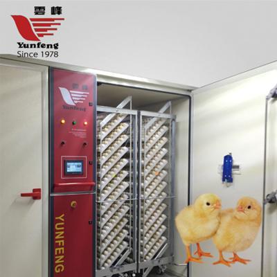 China Farms 1 Year Most Popular Hatcher 19200 Setter And Cockatiel Egg Incubator for sale