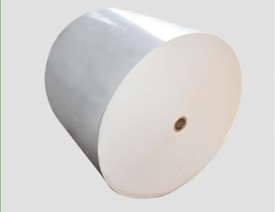 China Waterproof stock paper for hot coffee paper cup raw material pe coated cup stock paper for sale