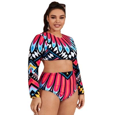 China Viable Plus Size Long Sleeve Two Piece Bikini Sets Print Plus Size Bikini Swimwear Women High Waist Swimwear Beach Wear for sale