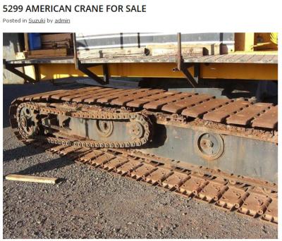 China American Crawler Crane 5299 Drive Roller Chain for sale