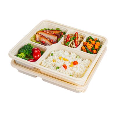 China Cornstarch Raw Materials Cornstarch Five Compartment Set Bio Degradable Meal Box Thickened, Durable And Microwave Sustained, Customized for sale