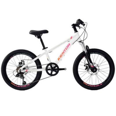 China High Carbon Steel Mini Kids Bike Bicycle For Teenager 7 Speed ​​Bicycle Kids For Sports for sale