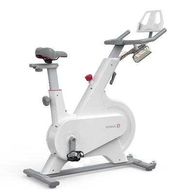 China Home Use Smart Indoor Exercise Spinning Bikes Magnetic Rotation Resistance For Home Gym Use for sale