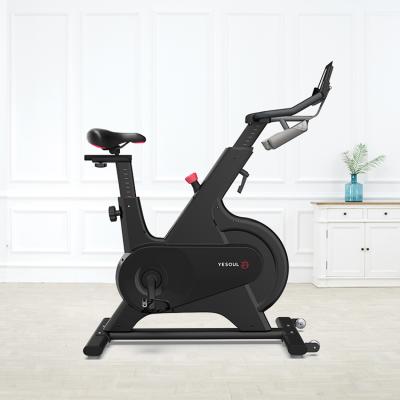 China Home Use Yesoul M1 Graphite Magnetic Spinning Bike for sale