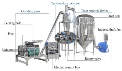 Cina Polvere fine completamente automatica cinese dell'acciaio inossidabile della macchina della smerigliatrice della polvere dell'erba in vendita