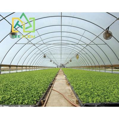 China Agriculture Tomato Growing Poly Tunnel Plastic Sheet Greenhouses High Tunnel Greenhouses for sale