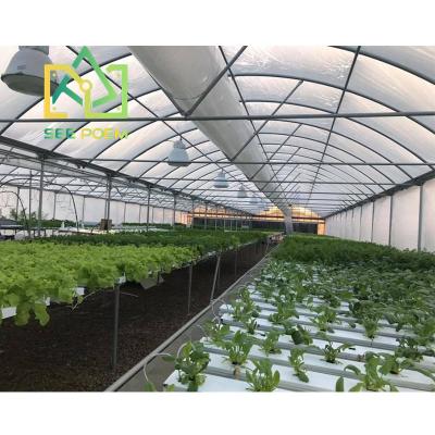 China Vegetable fruits flowers see poem multi-span greenhouses sale plastic steel frame greenhouse for sale