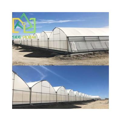 China Fruit Vegetable Flowers See Poem Greenhouses Tropical Hydroponic Sawtooth Green Houses Fully Automated Greenhouse For Sale for sale