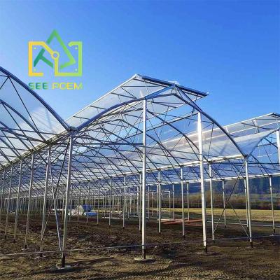 China Fruit Vegetable Flowers See Poem Invernaderos Tropical Hydroponic Butterfly PE Electric Film Used Metal Greenhouses View for sale