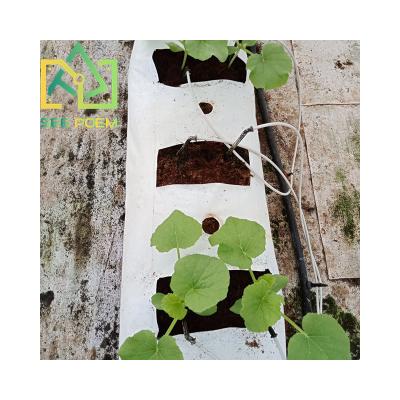 China Tomato Cucumber Pepper Hami Melon Coconut Slabs Cocopeat Grow Tomato Cocopeat Hydroponic Growing System for sale