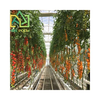 China Tomato Cucumber Pepper Hami Melon Cocopeat System Planting Bag Plant Grow Container Coconut Bags Customized Cloth Bags for sale