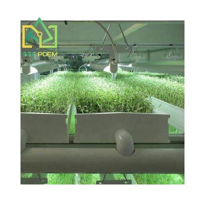 China Microgreens Vertical Growing Microgreen Hydroponic Trays With Support Rack Microgreens Vertical Growing Racks For Sale for sale